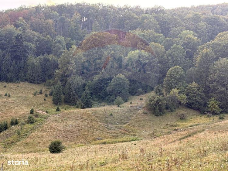 Teren Exclusiv Pentru Investitie In Zona De Agrement Brasov, Dn 1E - 6