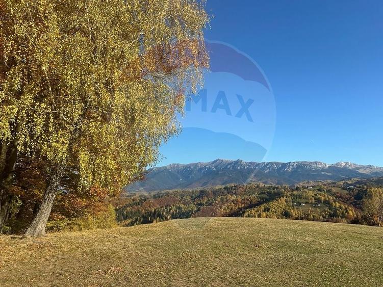 Oportunitate de investiție ! Teren de vis în Pestera - 125.370 mp - 8