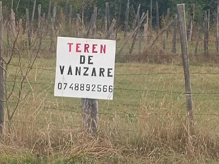 Teren de 3138 mp, în Central