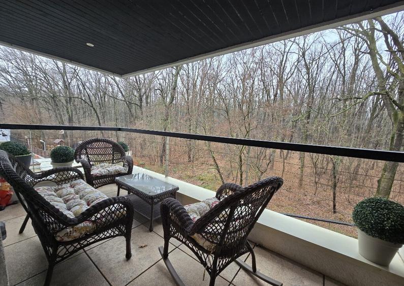 Apartament 3 camere Iancu Nicolae, padure, mobilat, utilat - 14