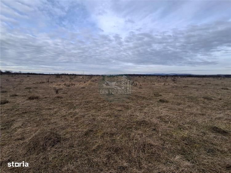 Teren intravilan 679mp zona Arhitectilor - Aerodrom - 2