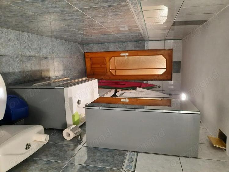 Vand casa Radu-Negru - 4