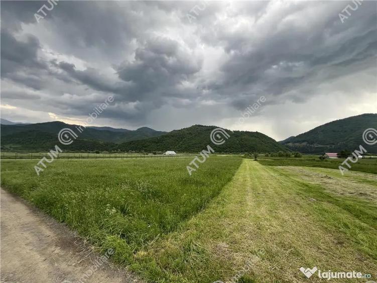 Teren intravilan de 3477 mp cu deschidere de 35 m in Boita - 1