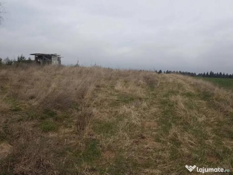 De vanzare terenuri intravilane in Reci - 5