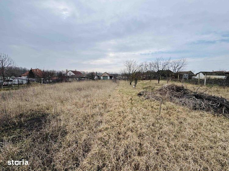 Casa ?araneasca la 10 km de Oradea - Teren 2000mp - IMOBIHOR - 8