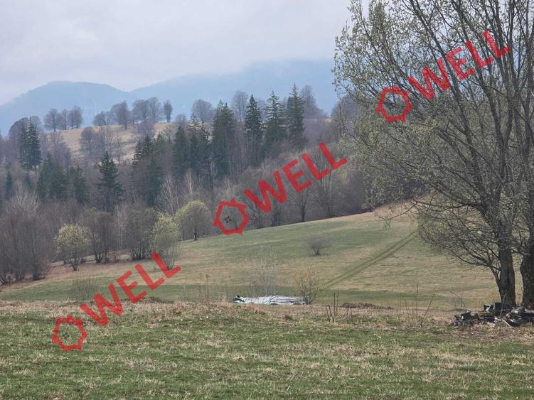 De vânzare 2 terenuri extravilane în localitatea Vama Buzăului, în zona denumită - 2