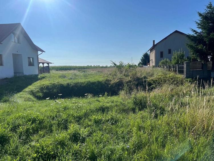 teren de vanzare - 1