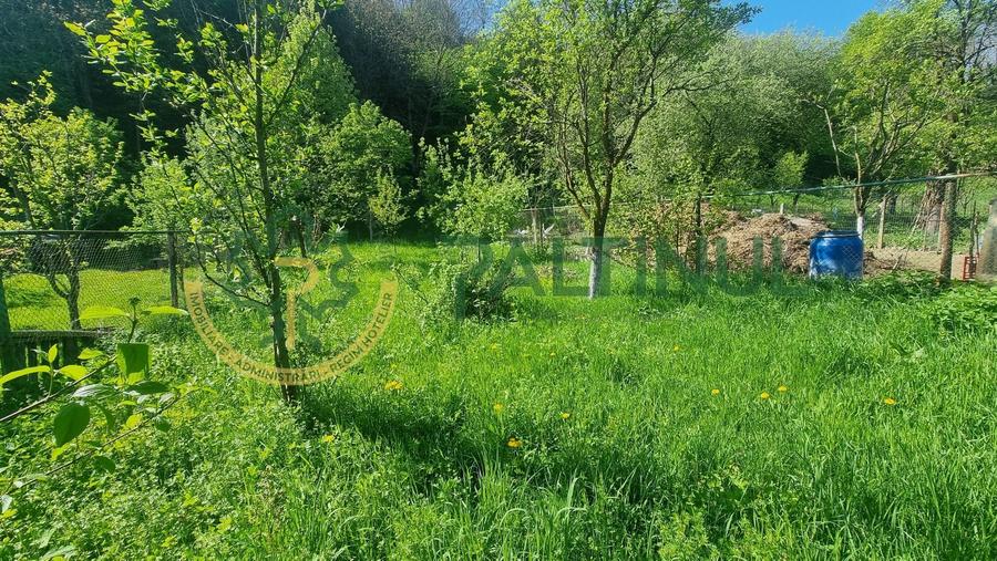 Casă de vânzare în Cisnădioara, curte mare și vedere spre munte - 4