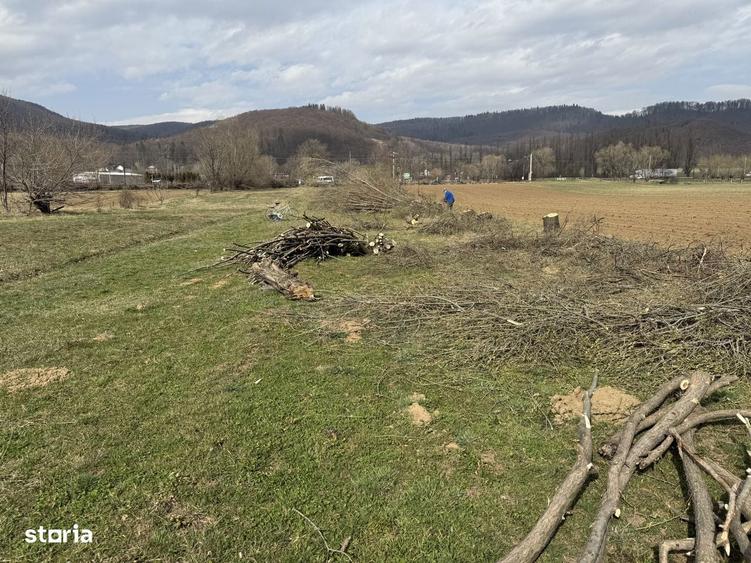 Teren de 3310 mp cu acces facil - 6