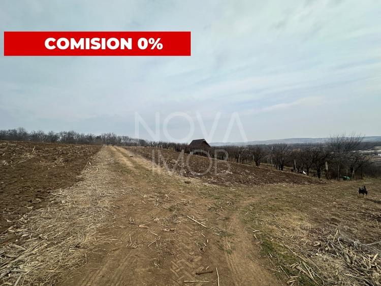 Teren de vanzare in Ocna Sibiului – Locatie premium langa lacurile sarate - 2