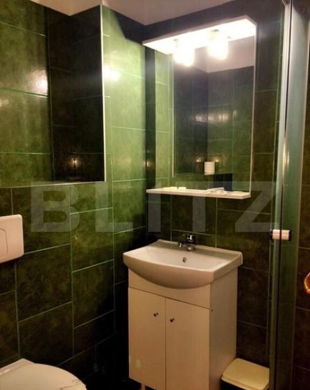 Pensiune de inchiriat, 450 mp, zona Lugojului - 3