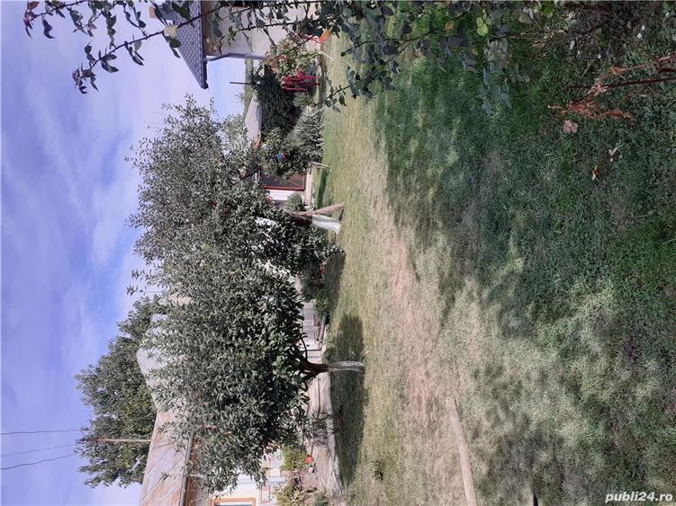 Vand Proprietate, Sat Buda, Com. Rafov, jud. Prahova - 9