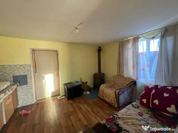 Investitie pentru liniste si oaza de verdeata - 12