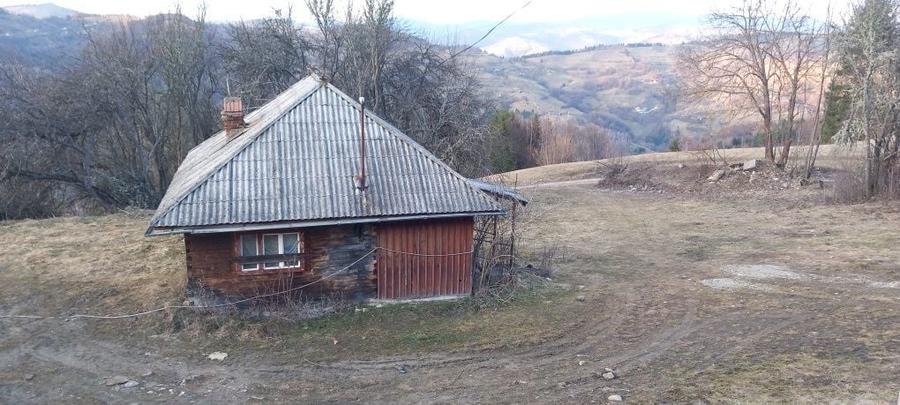Casa de vanzare muntii apuseni - 2
