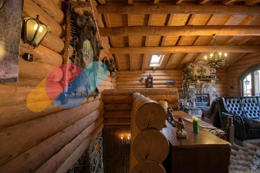 Complex  Printesa din Carpati  - Oportunitate de Investitie Unica pe Valea Aries - 13