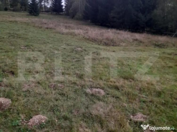 Teren intravilan de vanzare, 2280 mp, Vatra Dornei - 1