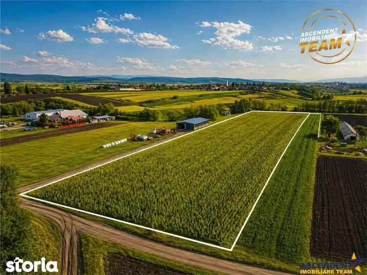 Film! Teren de 5.800 mp, Dobolii de Jos, Covasna - 2