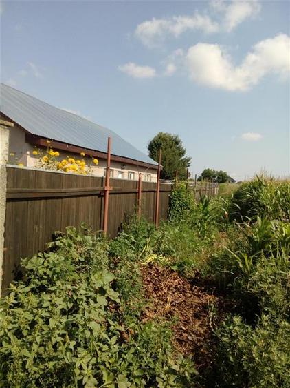 Vanzare Teren Serbanesti, Bacau - 2