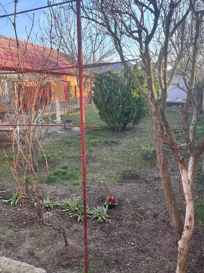 Casă și Teren de vânzare comuna Plosca  - 5