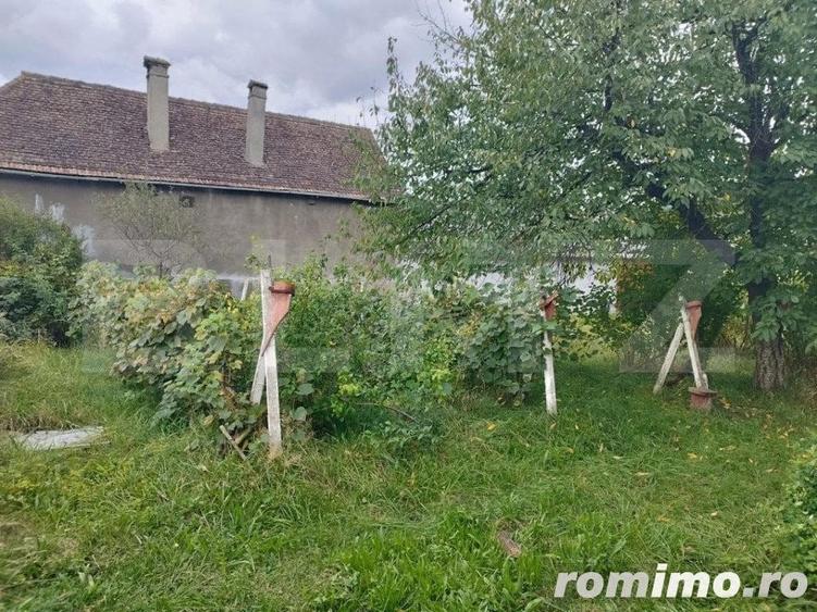 Casa pitoreasca in Viile Tecii cu o gradina de 26 de arii - 6