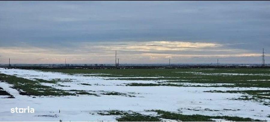 Teren extravilan Dragalina, cota parte 1/2, ID: R2992764 - 5