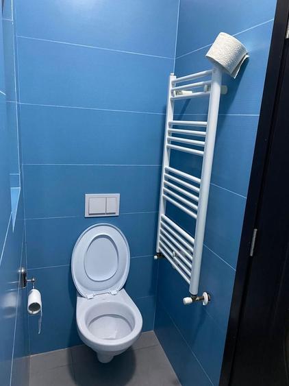 PROPRIETAR , Inchiriez apartament cu 1 camera Calea Aradului - 3