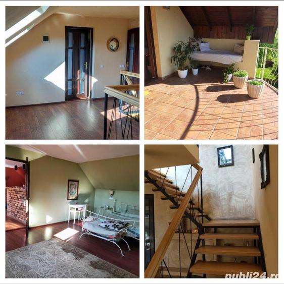 2 case finisate+1ha teren+ lac in ?intereag - 6