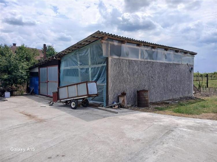 RECO Microferma avicola la doar 14 km de Oradea - 6