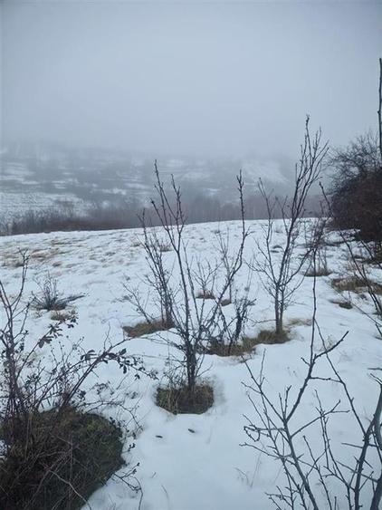 RECO, teren intravilan, Zona Sinteu, Bihor - 4