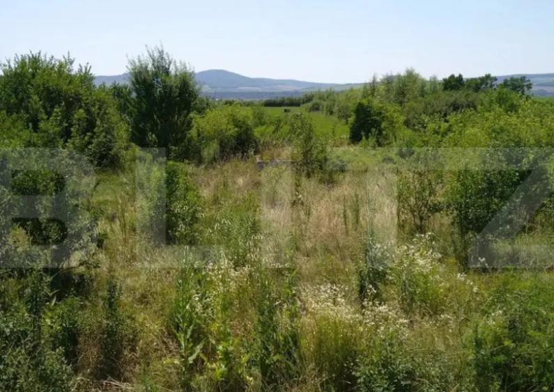 Teren intravilan de vanzare, 7000 mp, DN 17, zona Podirei - 1