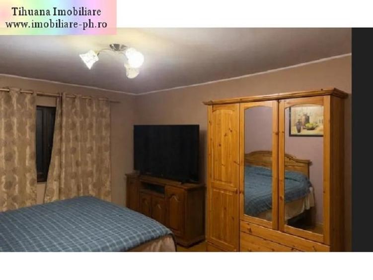 Casa de vanzare:Malu Rosu(compusa din 2 imobile separate in aceasi curte) - 9