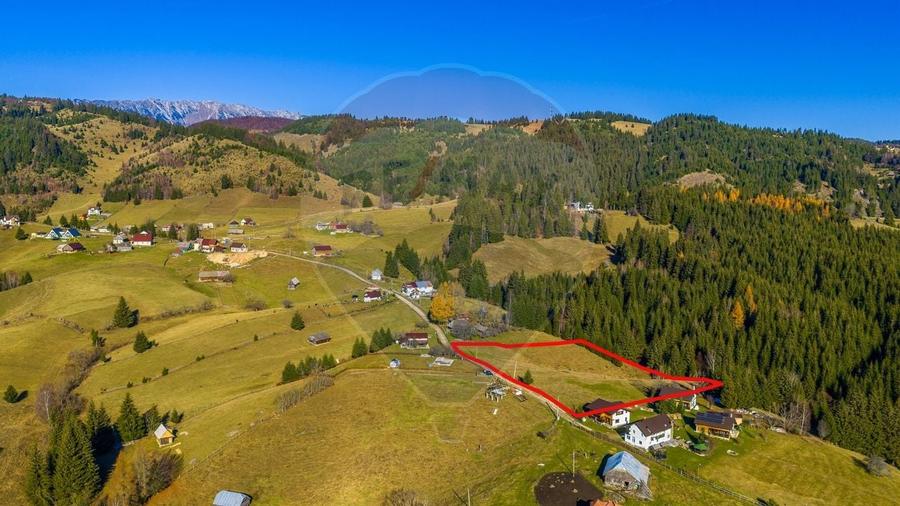 COMISION 0% Teren 13,800mp Fundatica / Intravilan - 2