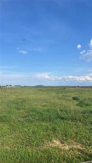 RECO TEREN VANZARE NOJORID - 1