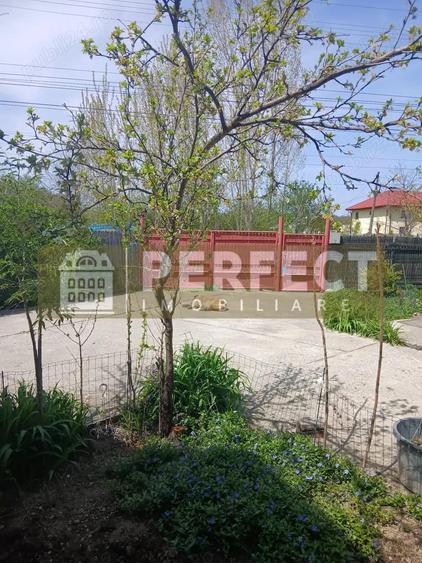 Casa la 10 km de Ploiesti la doar 65.000 euro - 2