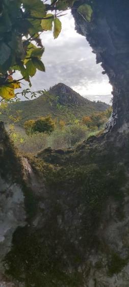 VÂND TEREN EXTRAVILAN 10.000 MP – ZONĂ MONTANĂ ARGEȘ - 8