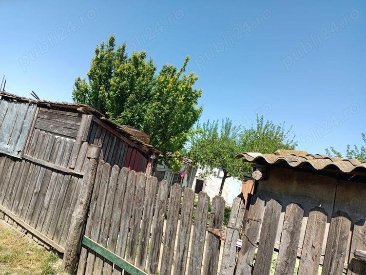 Vand casa in Oltina - 10
