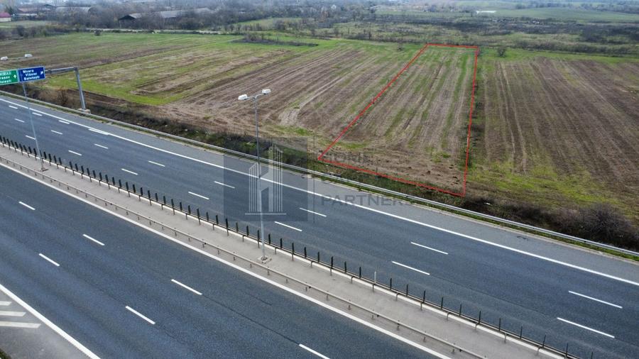 Teren 2727mp | Moara Vlasiei, Caciulati | A3 - 2