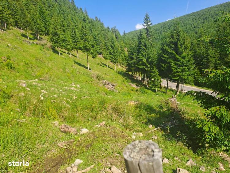 Teren Intravilan 1000mp | Drum ASFALTAT | MAGURI | PANORAMA - 3