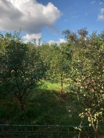 Casa de vanzare in Dracsani jude?ul Boto?ani - 1