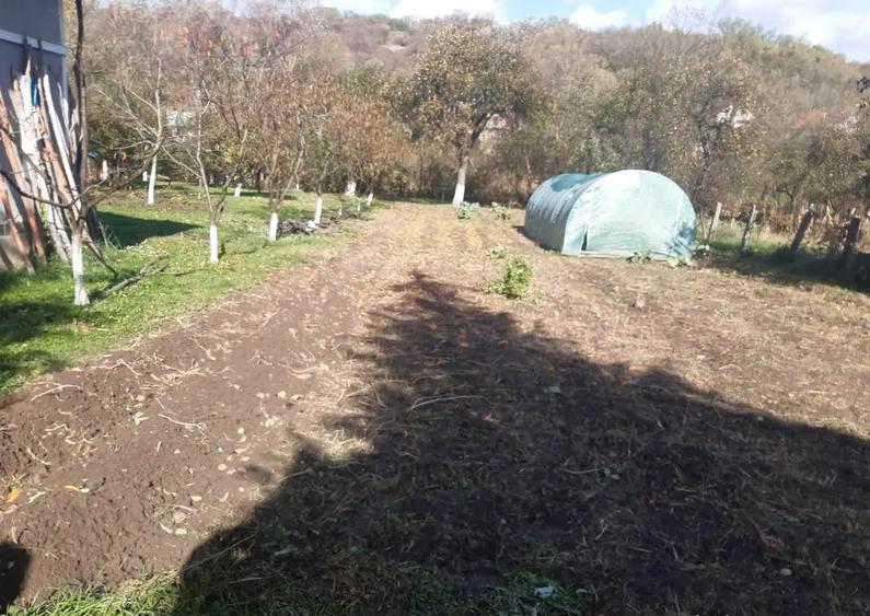 Arduzel, casa caramida - 11