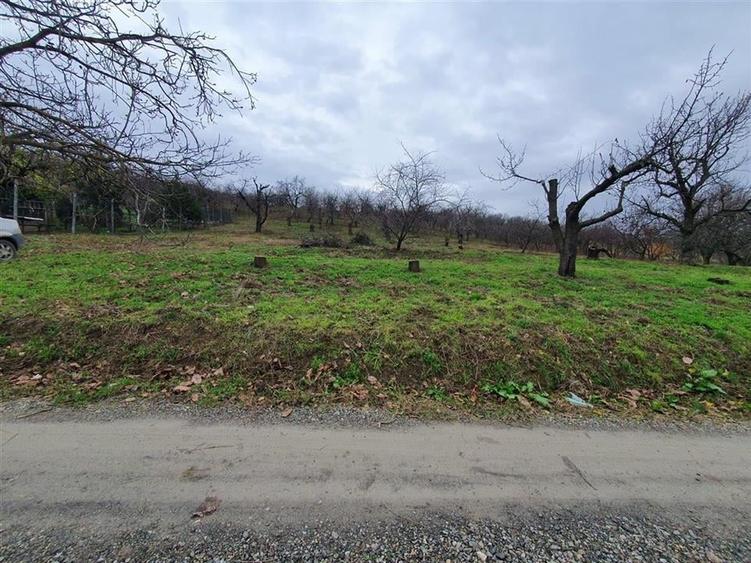 RECO Teren  in Oradea - 5