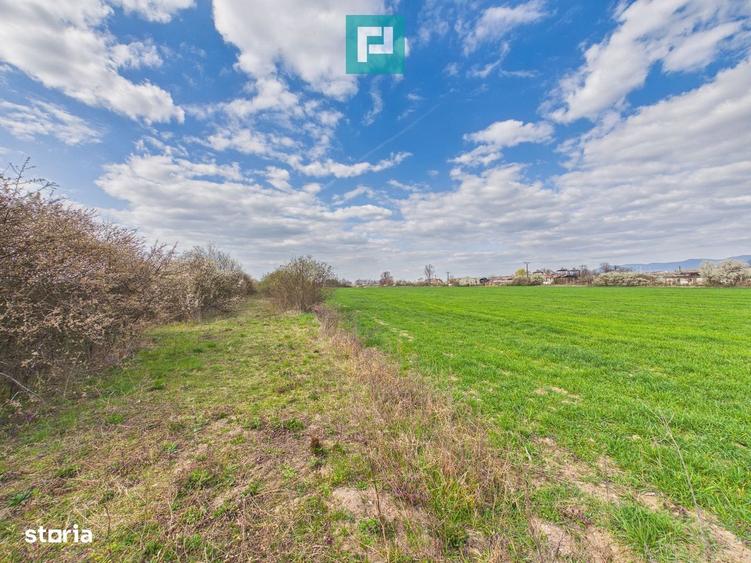 Teren extravilan, 1 ha, in orasul Sebis, Arad - 1