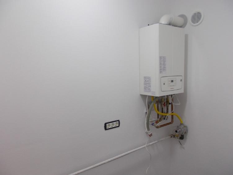 Duplex, intreg sau jumatate, Peciu Nou, parter, 4+4 camere, 674mp - 10