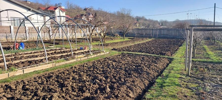 Teren intravilan 650mp - 3