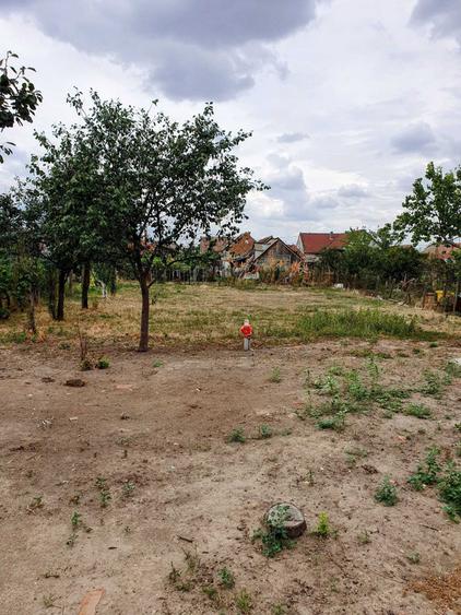 Casa de vanzare in Santana +teren agricol extravilan - 2