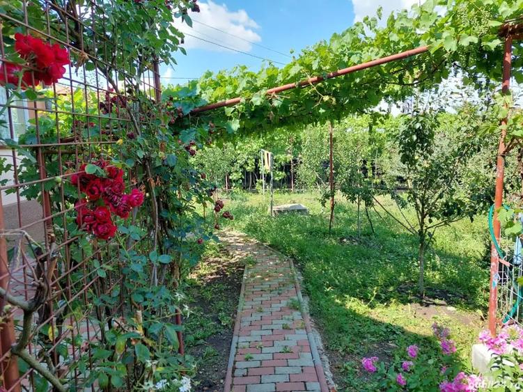 Casă cu 6 camere cu Teren 80000 Mp în Sângeorgiu de Mureș