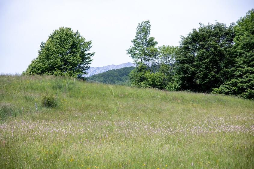 Teren intravilan - 1.050 mp în Bran cu utilitati – priveliște Bucegi - 7