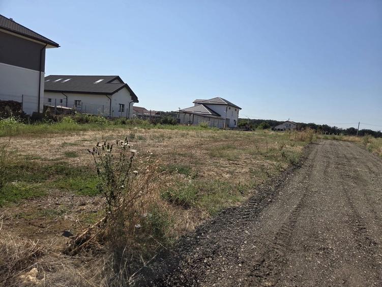 Teren de vanzare Branesti Ilfov(Vadu Anei)450-500 mp. - 3