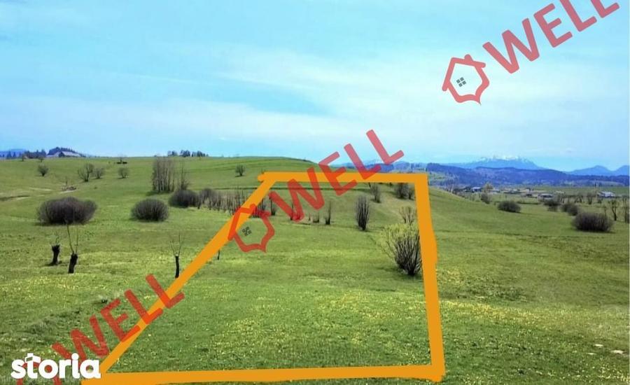 De vanzare teren extravilan in Sarama?! - 7