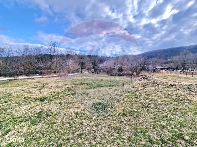 Teren Intravilan generos la intrare in Luncani - 5